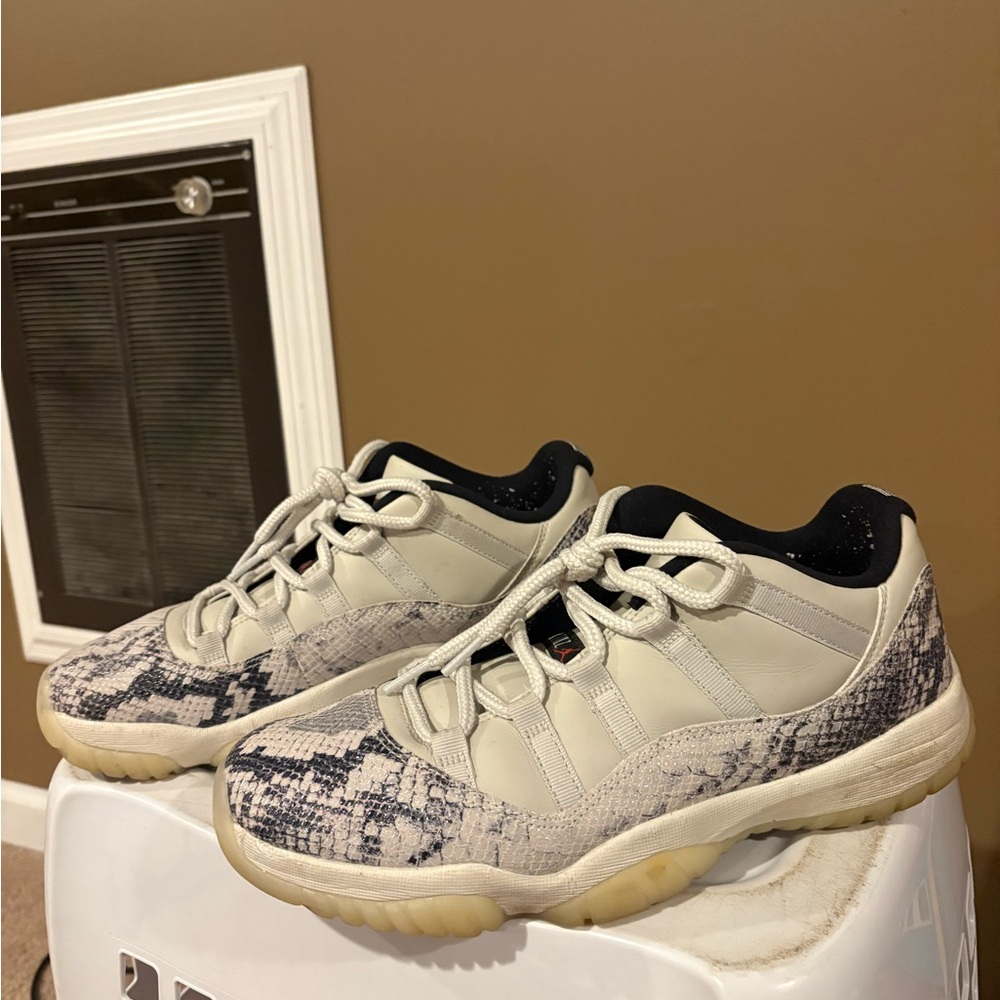 Jordan snake skin